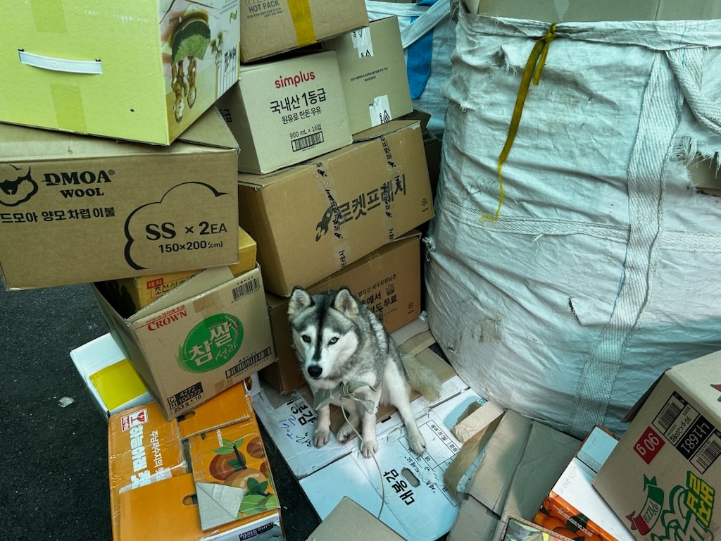 동구종합동물병원_426327202500201